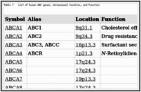 Table 1. List of human ABC genes, chromosomal location, and function.