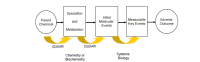 FIGURE 3-1. Conceptual framework for the future development of (Q)SARs.