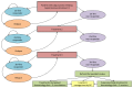 Figure 7. Patient flow diagram for the Markov model of topical treatments for scalp psoriasis.