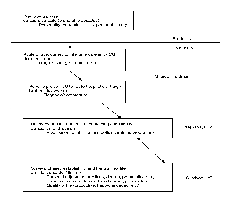 Figure 2. The career of a TBI survivor.