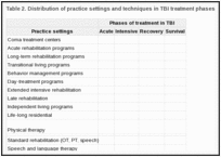 Table 2. Distribution of practice settings and techniques in TBI treatment phases.