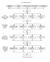 Figure 3. Chart of search and selection of articles for review.