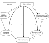 Figure 4. Casual pathway for early neurological rehabilitation in the acute hospital setting.