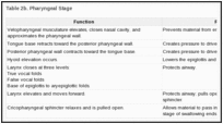 Table 2b. Pharyngeal Stage.