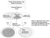 Figure 2. Strategy for using clinical characteristics and diagnostic tests to identify patients with increased likelihood of acute bacterial rhinosinusitis.