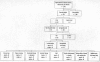 Figure 1. Yield of Literature Search.