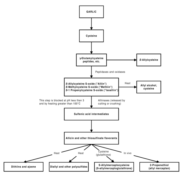 Figure 1. Chemical profile of garlic.