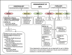 Figure 2. . Algorithm for the Management of Skin and Soft Tissue Infections.