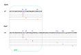 Figure 9. . Amino acid sequences in S.