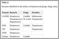 Table 2: 