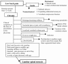 Figure 1. Differential Diagnosis of Lumbar Spinal Stenosis.