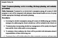 Sample Policy 4b.