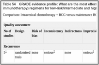 Table 54. GRADE evidence profile: What are the most effective adjuvant intravesical therapy (chemotherapy or immunotherapy) regimens for low-risk/intermediate and high-risk non-muscle-invasive bladder cancer?