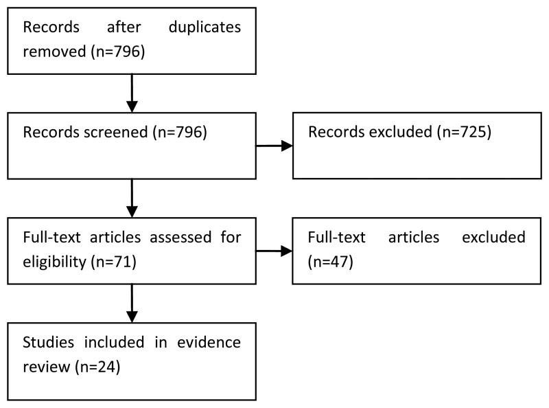 Figure 30. Study flow diagram.