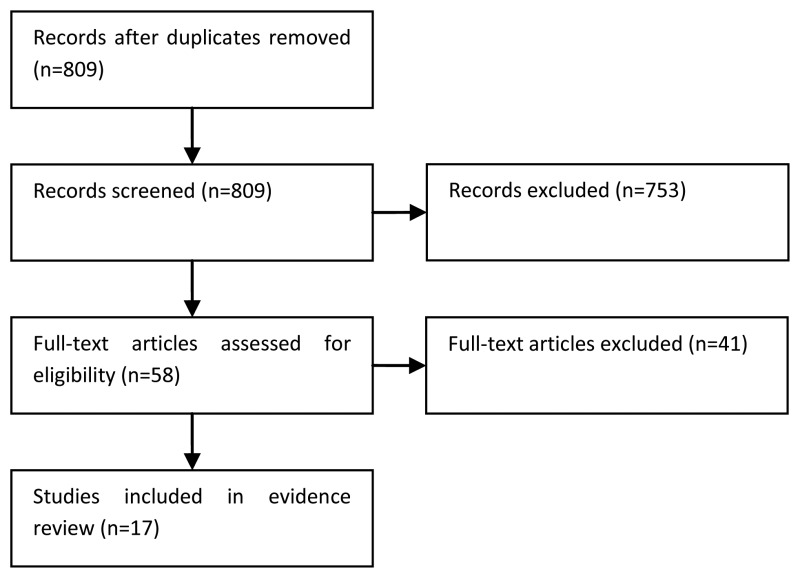 Figure 51. Study flow diagram.