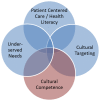 Figure 1 is a Venn diagram with four circles depicting how several concepts used in health services research overlap. The concepts are cultural competence, underserved needs, cultural targeting and patient-centered care. The concepts are used by different research fields but do not necessarily convey a comprehensive or coherent taxonomy.