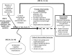 Figure 2 displays the flow diagram illustrating thel path for patients from the priority populations presenting to their providers and the health system for care. Interventions that are intended to improve the cultural competence of the system in order to provide culturally appropriate care lead to intermediate outcomes for providers such as improved provider motivation, behaviors, attitudes, beliefs, cognitions toward the priority populations, and organizational adaptation. Interventions may also generate patient intermediate outcomes such as patient knowledge and behaviors, beliefs and cognitions, satisfaction, and improved access to care. The intermediate outcomes eventually lead to final health outcomes that reduce the gaps in health disparities for patient medical and mental health outcomes. However, there is also the possibility of the interventions generating negative unintended consequences.