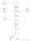 Figure 1. Conceptual Framework.