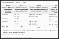 Literature Selection Process by Topic.