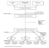 Figure 1. Literature Flow.