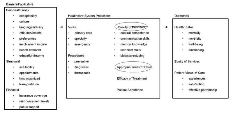 Figure 1. Analytic framework (with intervention targets circled).