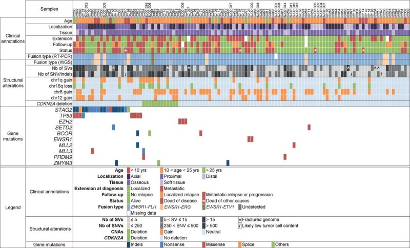 Chart showing a comprehensive profile of the genetic abnormalities in Ewing sarcoma and associated clinical information.