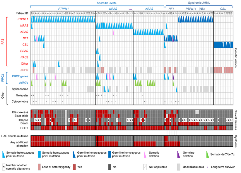 Chart showing alteration profiles in individual JMML cases.