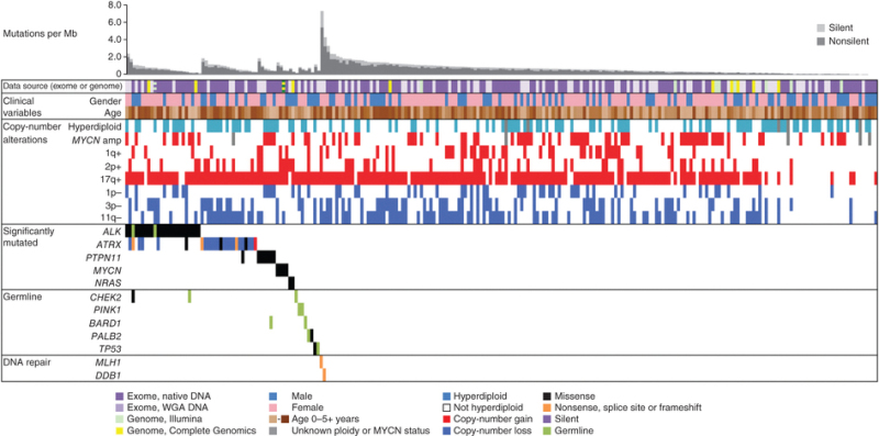 Chart showing the landscape of genetic variation in neuroblastoma.