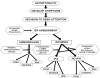 Figure 1. Analytic Framework for evaluation and treatment of acute stroke.