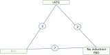 FIGURE 54. Network diagram for all included induction studies.