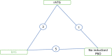 FIGURE 57. Network diagram for induction studies reporting BPAR.