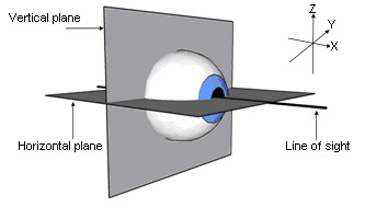 Figure 1. . Eye rotation can occur about three axes (X, Y, Z).