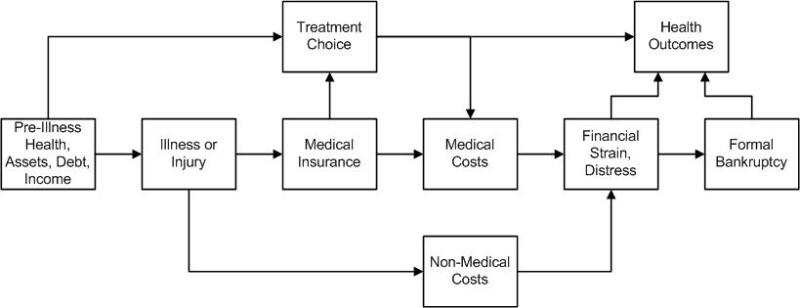 Flow chart showing the conceptual framework relating severe illness, treatment choice, and health and financial outcomes.