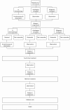 Figure 1. Modelled treatment pathway.