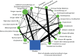 FIGURE 4. Network plot of range of interventions and comparisons for NVP/HG.