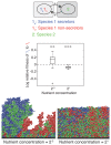 FIGURE 7.6. Mutualism when two species do not compete for nutrients: identical to Fig. 7.4B, but where species 1 and 2 consume different nutrients.