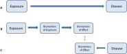 FIGURE 4-1. The meet-in-the-middle approach centers on investigating (A) the association between exposure and disease, (B) the relationship between exposure and biomarkers of exposure or effect, and (C) the relationship between disease and biomarkers of exposure or effect.