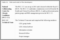 Table 2.1. Role and remit of the developers.