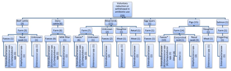 Figure 4. Flowchart depicting the species, sample point, sample type and bacteria investigated in studies where there was a voluntary limitation on the use of antibiotics within production systems.