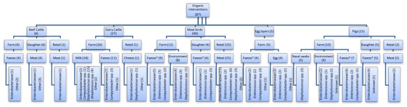 Figure 1. Flowchart depicting the species, sample point, sample type and bacteria investigated within studies where organic production systems, which reduced or eliminated antibiotic use in animals, were implemented.