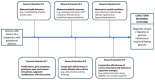 Figure 5. Results from step 7 (conceptual model to display research questions related to key question III (KQ-III).