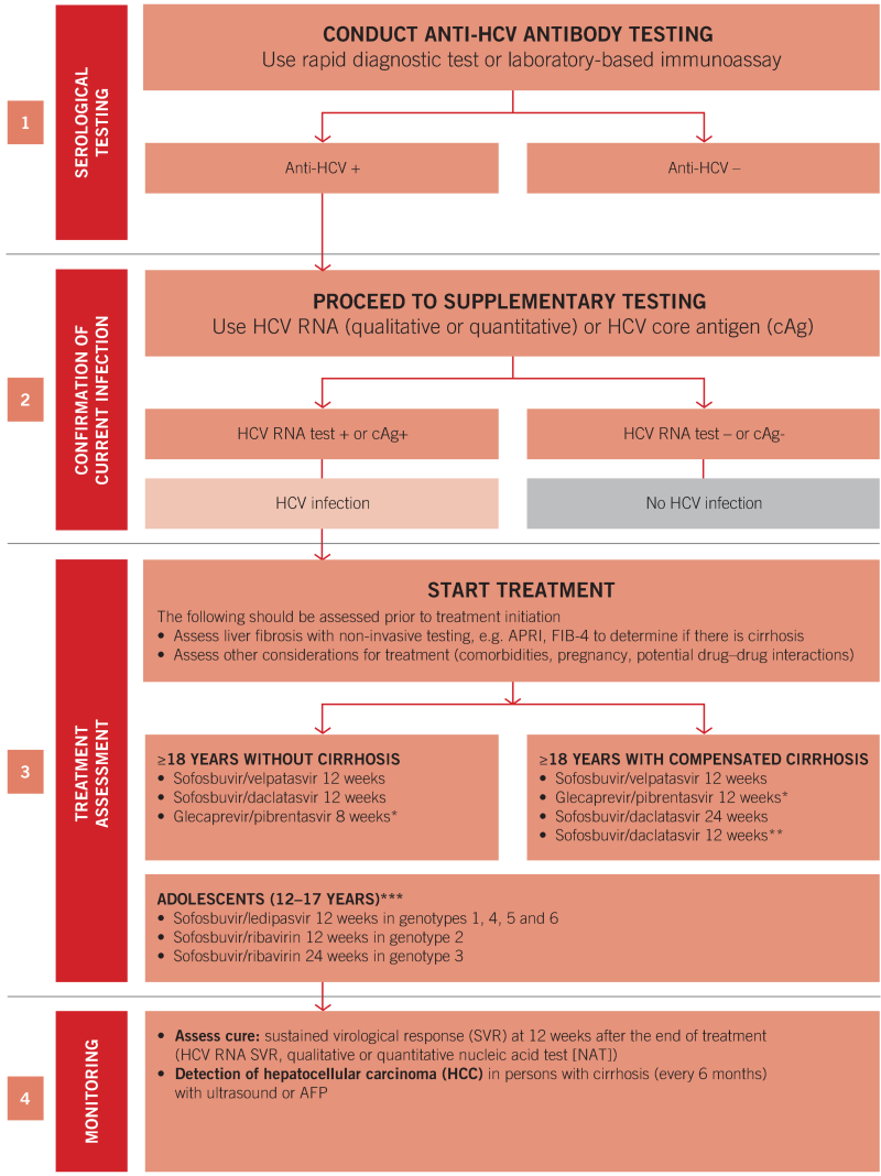 Summary algorithm for the diagnosis, treatment and monitoring of chronic HCV infection in adults and adolescents.