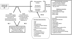 Figure A. Analytic framework.