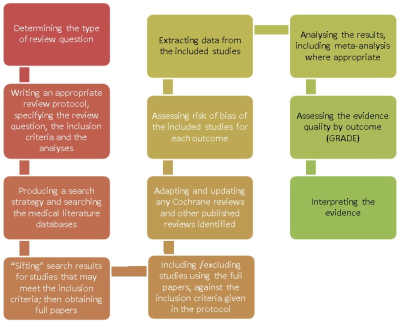Figure 1. Step-by-step process of review of evidence in the guideline.