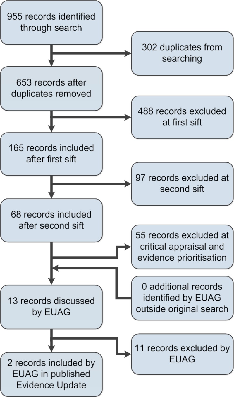 Figure 1. Flow chart of the evidence selection process.