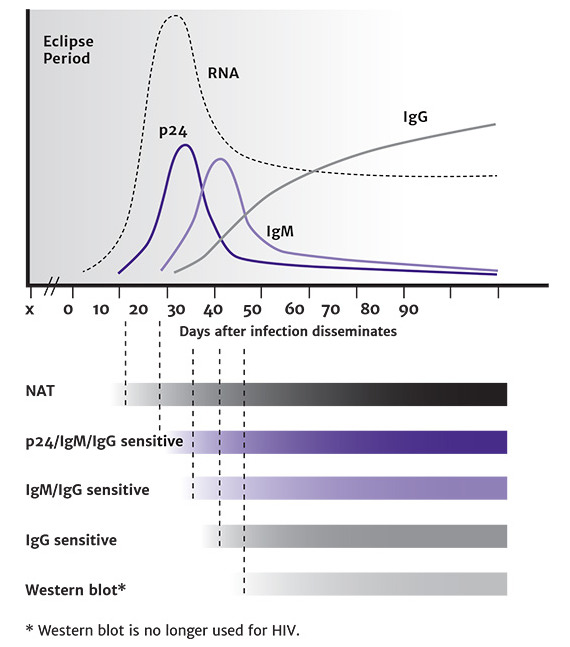 Figure 1. HIV Test Window of Detection [a,b].