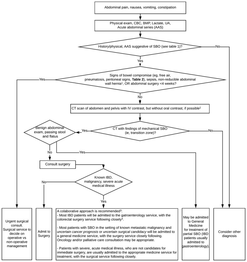 Figure 1. General Approach to Evaluating SBO.