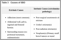 Table 3. Causes of SBO.