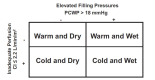 Figure 8. Categorization of Filling Pressures and Perfusion in Decompensated Heart Failure.