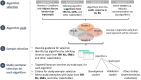 This figure depicts the steps for identifying algorithms for evaluation in Contextual Question 4. The first step was to develop a curated list of potential algorithms by identifying diseases and conditions with the highest disease burden, and reviewing suggestions from the the Technical Expert Panel, Key Informants, Subject Matter Experts, algorithm vendors, and the public response to the Request For Information. In the next step, we removed duplicate or overlapping algorithms. In the third step we selected a specific set of algorithms for analysis, informed by expert input. Finally, we identify the best available study, or study examplar, representing each selected algorithm.